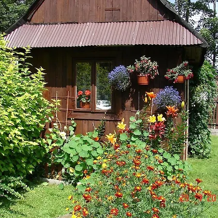 Modrzew Закопане