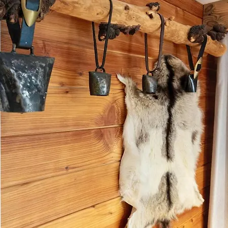 Modrzew Zakopane